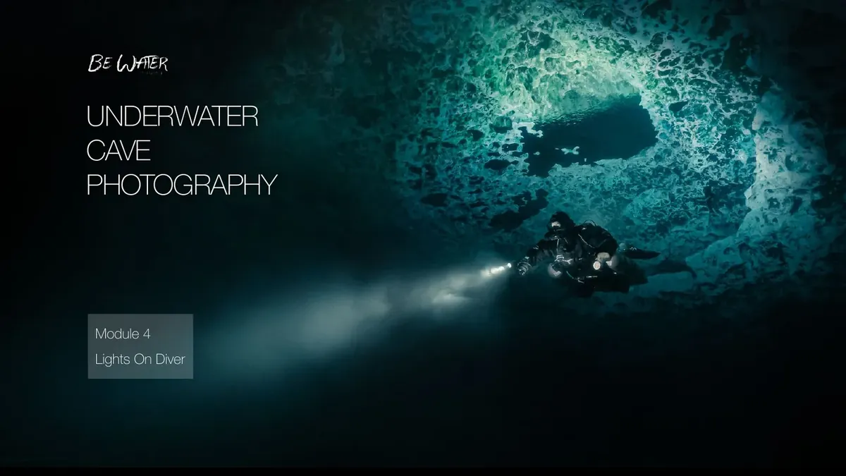 Module 4: Lights On Diver
